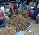 ตลาดค้าขายพืชผลทางการเกษตร ตลาดการค้าชายแดนไทยกัมพูชา